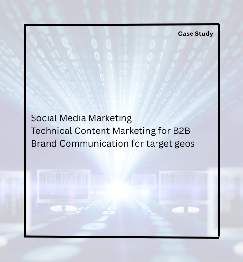 case study on b2b technology firm