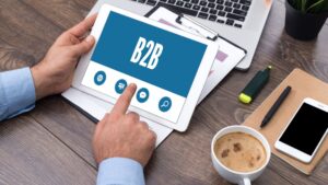 Website for B2B business