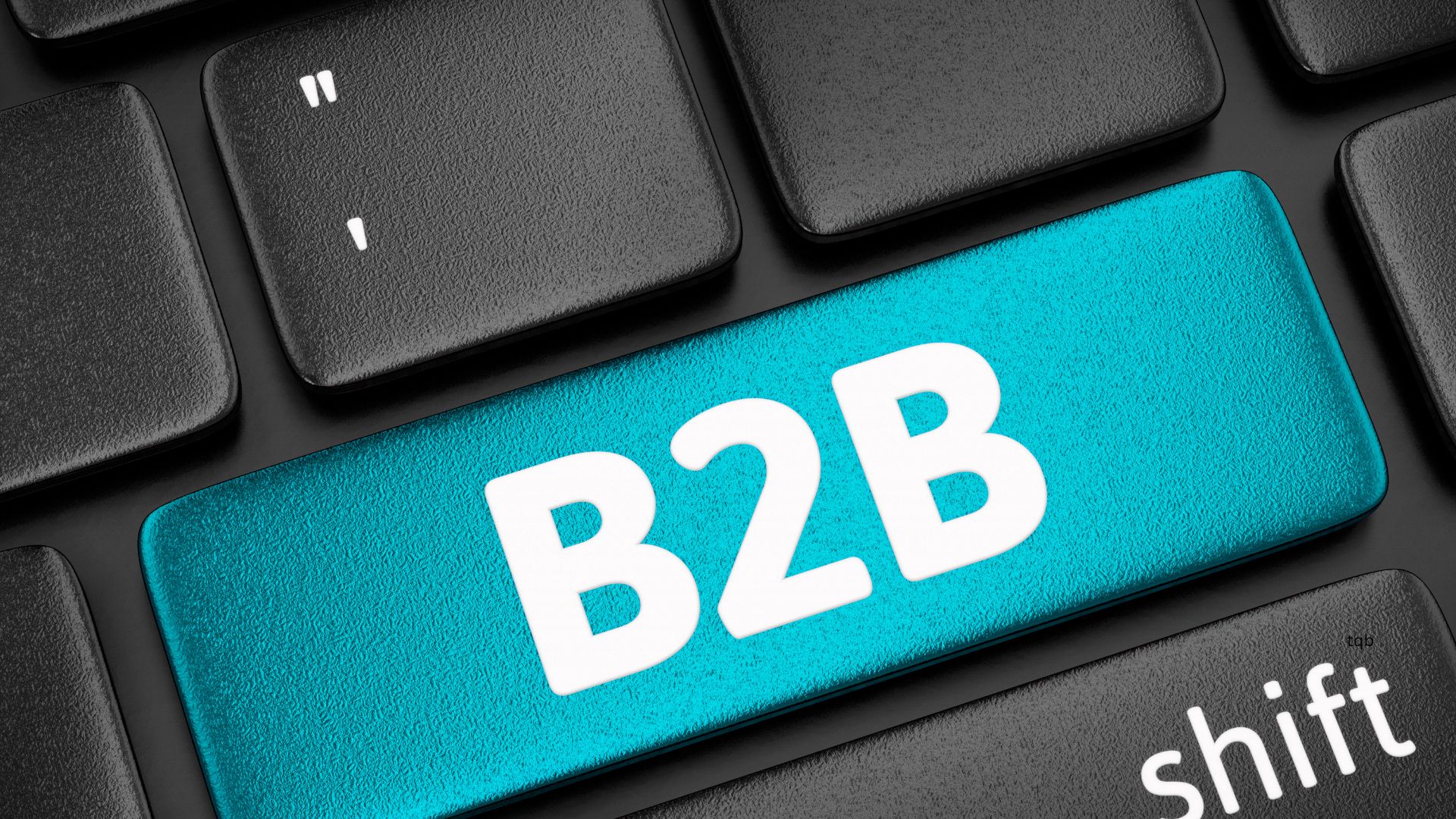 Website for B2B business