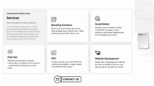 Ace Logic services and contact link